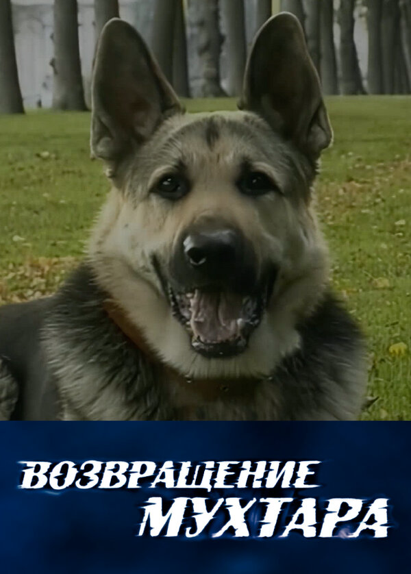 Возвращение Мухтара постер